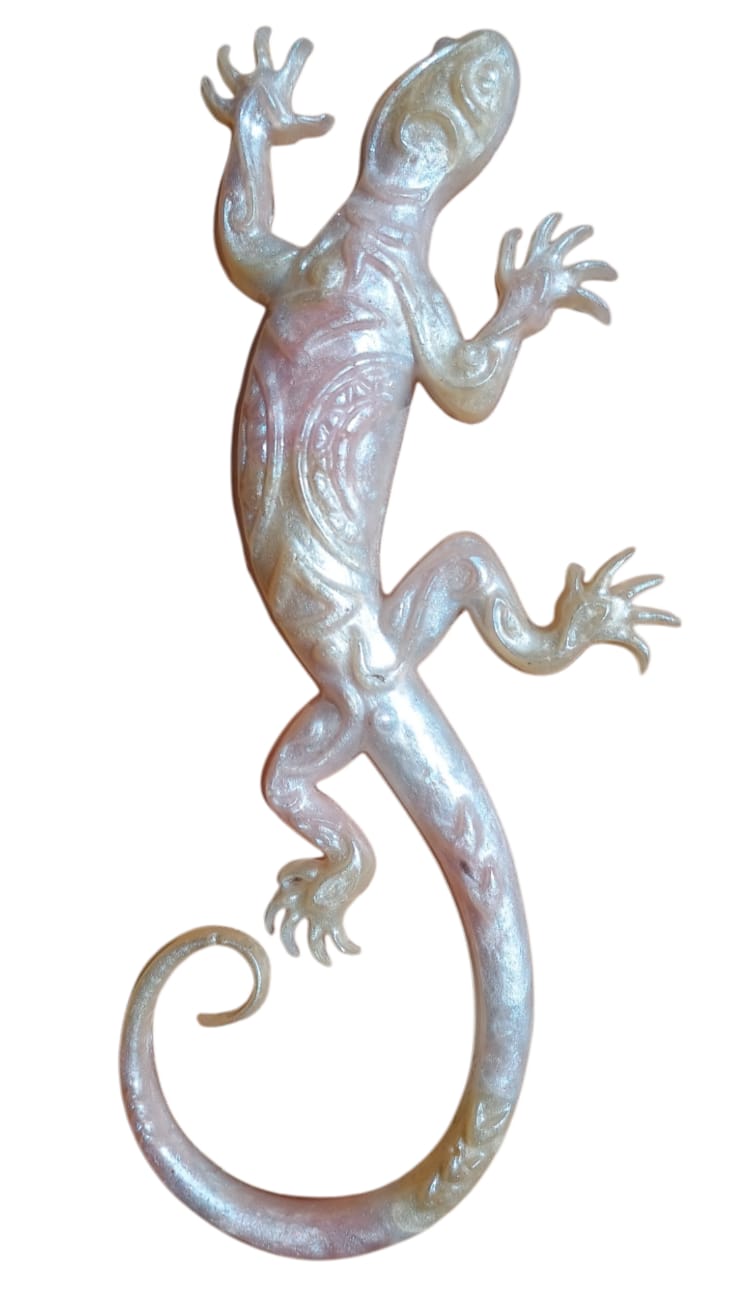 Salamandre 