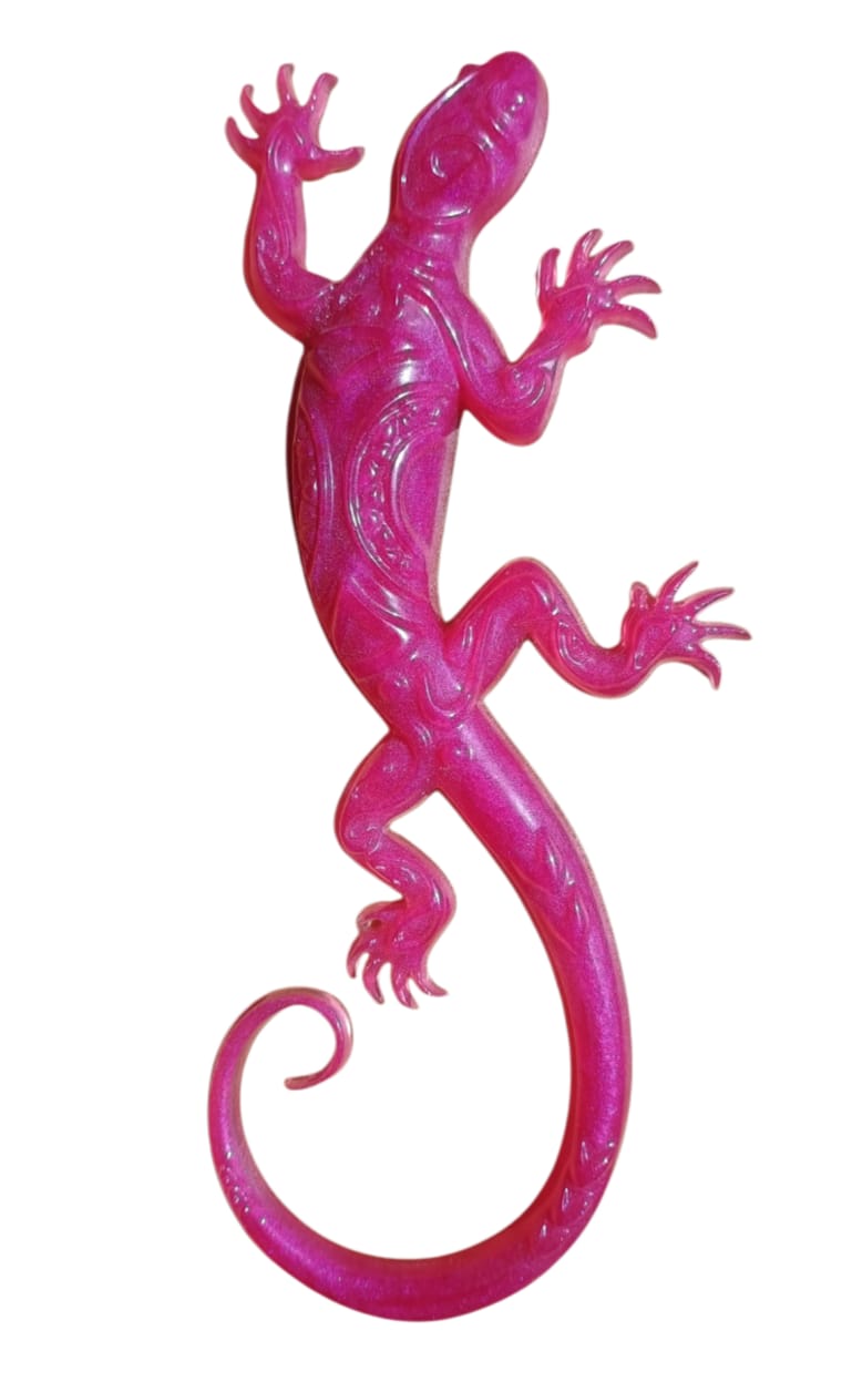Image 5 du produit Salamandre 