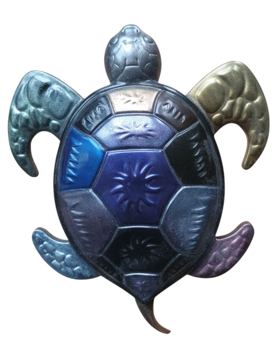 Image 2 du produit Tortue